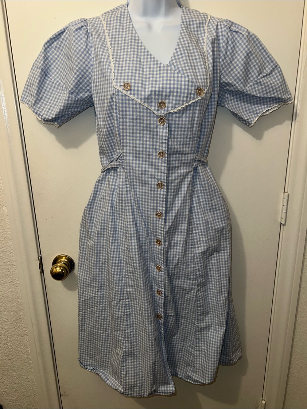 Classic Blue Gingham Button-Front Women’s Dress